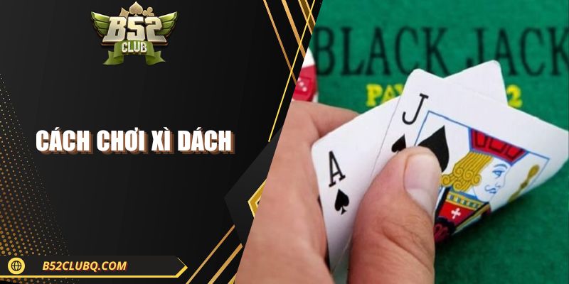 Cách Chơi Xì Dách Trực Tuyến Chuẩn Chỉnh Từ A - Z 2025